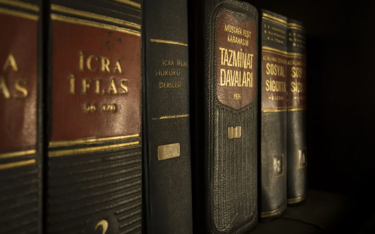 Jakie znaczenie prawne ma różnica modeli dla frankowicza?