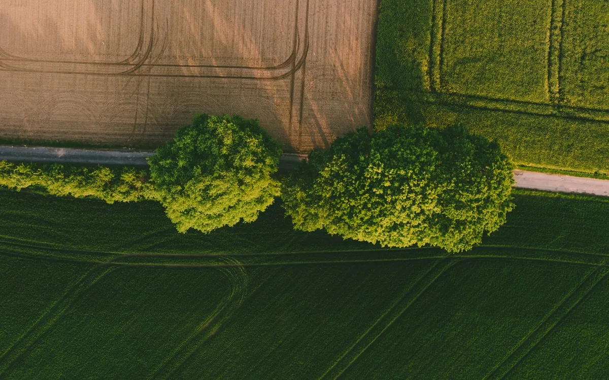 Dowody, znaczenie praktyczne i granice ogólnej odpowiedzi