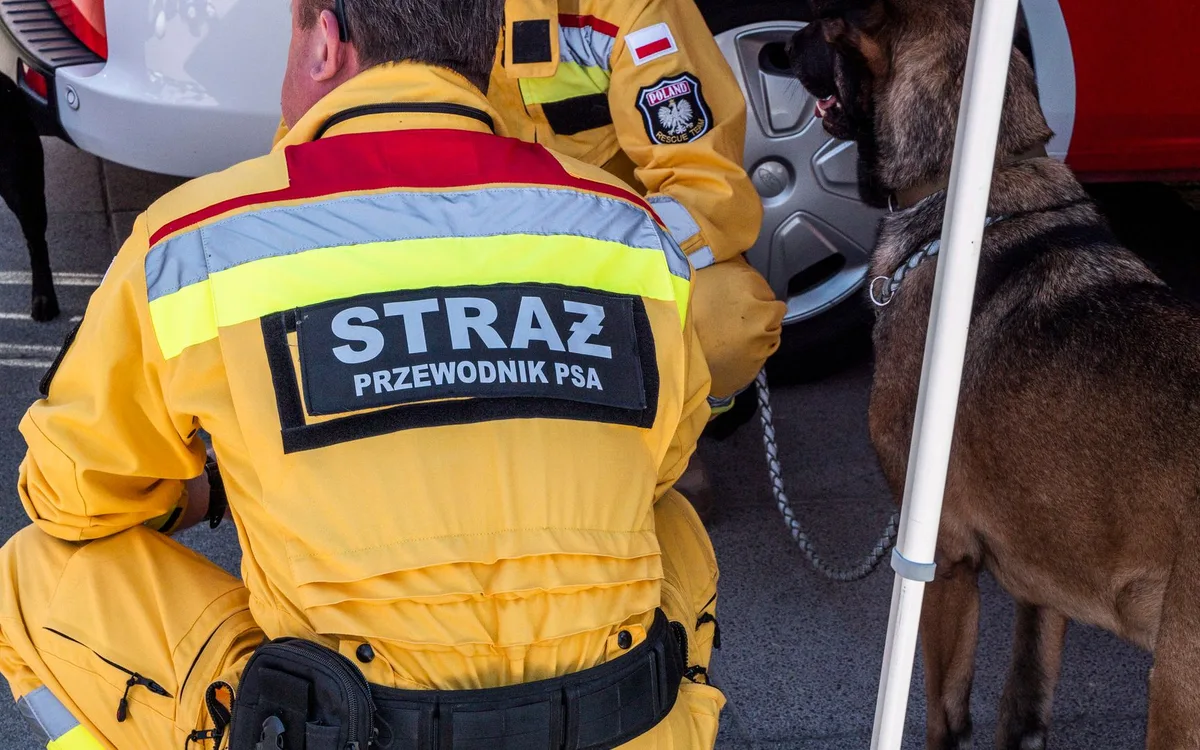 Jak późniejsze orzecznictwo TSUE i Sądu Najwyższego uzupełniło wnioski ze sprawy Dziubak?